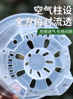 透气镂空塑料控根花盆蝴蝶兰花专用透明透气塑料镂空大号花盆控水