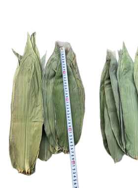 干粽叶棕绳端午节粽子叶麻竹叶干货新货香棉线楠竹毛竹竹编