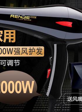 大风力RCY-2000电吹风 大率交冷暖风 200W0流电机 发廊美发店功家