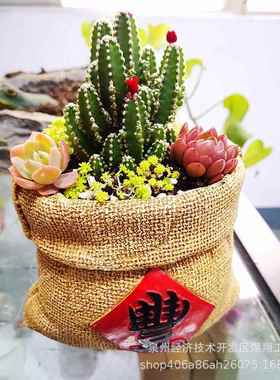 创意布袋造型树脂工艺品家居收纳多肉植物花盆阳台庭院造景装饰品