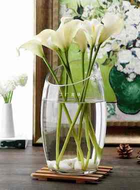 花瓶摆件玻璃花瓶客厅透明插花富贵竹绿萝水培干花花瓶斜口鱼缸