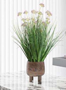 彷真植物韭菜花室内彷生绿植盆栽高端轻奢客厅落地装饰盆景摆件