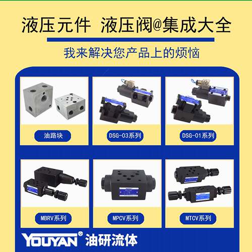 A1Y液压锁A2Y保压阀Ha50F液控单向阀A1Y-Ha10B-Hb20B-Ha32B-Ha65F - 图2