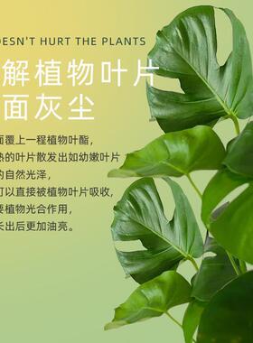 可利鲜750ml叶面清洁剂发财树天堂鸟龟背竹绿萝光亮增亮除尘增绿