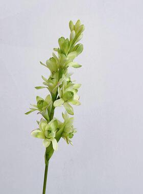 晚香玉仿真花重瓣玉簪花家居展厅装饰室内家居玄关摆放摄影道具花