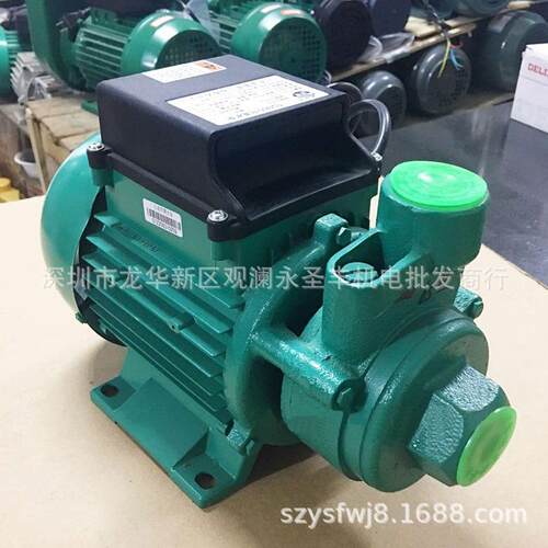 广东凌霄1DB35 1DB45 1DB65 -B清水泵 家用抽水泵330W 550W 750W - 图2