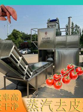 诺新科技温蒸汽去皮机  果蔬根茎类蒸汽去皮设备  土豆削皮机