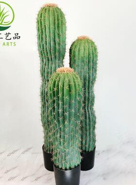热带沙漠仿真仙人掌花仙人柱绿植盆栽组合造景植物道具摆件