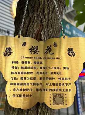 树牌 挂牌 标识牌树木介绍牌防水不锈钢牌刻字景区植物花草介绍牌