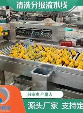 全自动果蔬重量分选机商用滚杠式新疆大枣分级机苹果橘子分级机
