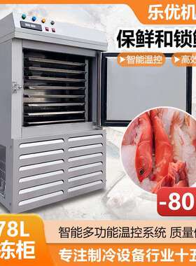 优选冰棍雪糕急速冷冻柜水果草莓芒果原浆小型商用低温速冻柜