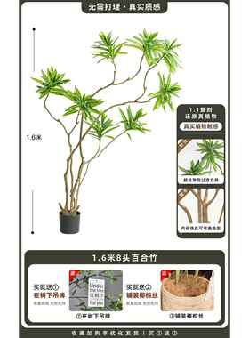 高档客厅装饰品摆百件合竹仿真绿玄关电视柜轻植奢高档假物落地植