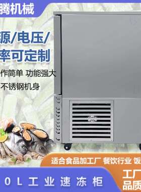 零虾下4度工业级鲍鱼海参肉食排枪骨冷303冻柜5金三文鱼海急冻速