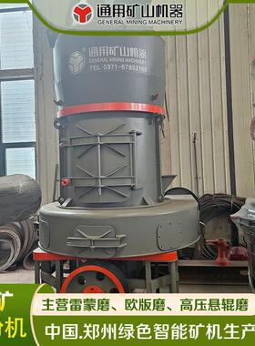 MTW-110欧版式磨粉机 矿物雷蒙磨粉机 石油焦磨粉雷蒙机厂家