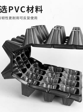 育苗盘育苗盆穴盘塑料杯种植神器营养钵蔬菜育种扦插盒农用托盘盆