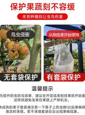 水果套袋防虫防鸟专用网袋番茄番茄西瓜草莓无花果瓜果保护袋子