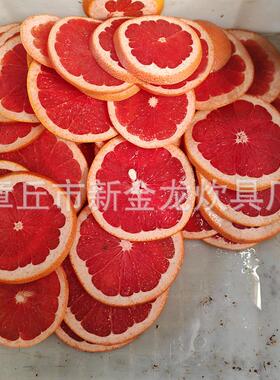 商用定向西柚切片机 柠檬切片机 橙子切片机 水果切片机