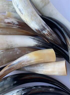 白厂牦牛加角单角摆件白牛角牦牛角立角角牛角工艺品牛梳子家工