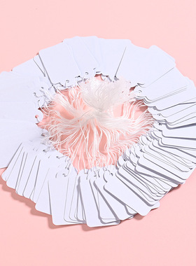 贝壳价签挂牌纸卡手写装饰摆件