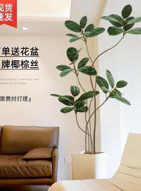 黑金刚橡皮树彷真绿色植物假植物轻奢室内客厅盆栽落地装饰摆饰彷