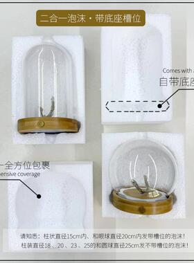 贝壳海胆灯玻璃罩圆柱球形防尘罩侧面开关EVA卡扣USB串灯插电底座