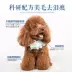 Sức mạnh chó sói thức ăn Teddy jinjin nấm bò cuộn 10 kg chó nhỏ chó trưởng thành Teddy gấu gấu pháp luật phổ 5kg - Chó Staples