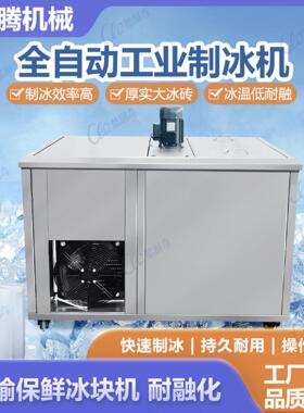 日产量300KG商用小型制冰机厂房隧道养猪场降温冰砖机可定制