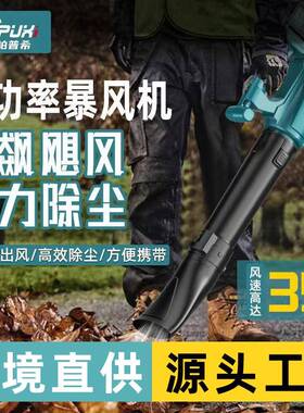 大功率工业级锂电暴风机充电鼓风机吹雪机吹尘吹风机除尘机器