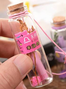 A12四色M1123十二星座玻璃许愿瓶套装 木塞物字条情2漂流瓶 创意