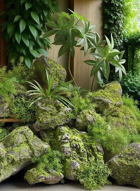 彷真泡沫石室内户外别墅橱窗造景庭院布景假石头苔藓假山装饰道具