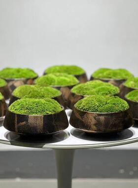 新中式花艺彷真绿色植物观样板房客厅样品屋展示中心永生植物青苔