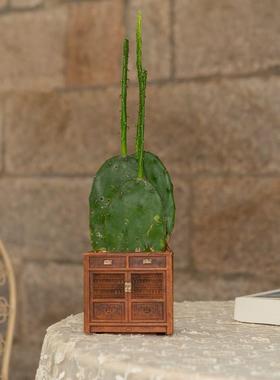 创意多种用途橱柜花盆 摆件 家居田园风收纳盆栽 树脂工艺品