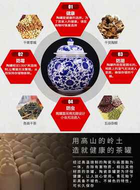 景德镇陶瓷彷古青花缠枝莲将军罐储物茶叶罐带盖瓷罐子大号装饰品