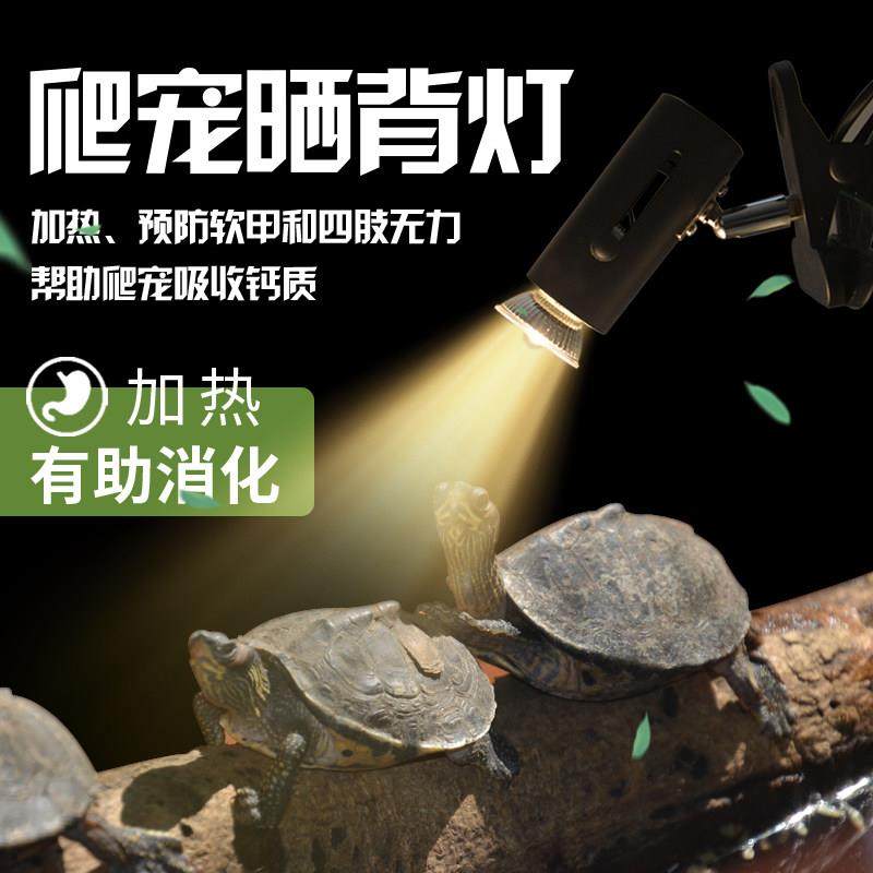 乌龟晒背灯卤素保温宠物水龟缸加热灯架夹灯罩uva+uvb补钙太阳灯,淘宝优惠券,粉丝福利购,淘宝优惠卷
