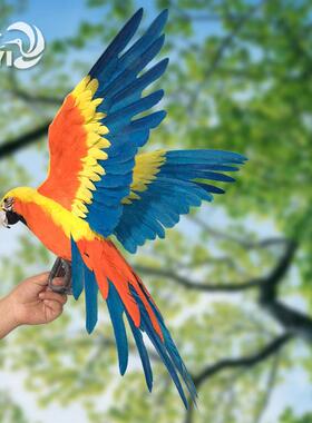 彷真鹦鹉模型真羽毛金刚大鹦鹉装饰摆饰摄影道具橱窗客厅动物标本