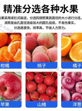 柑橘分选机商用橘子橙子大蒜圆筒分选机器西红柿洋葱滚筒选果机