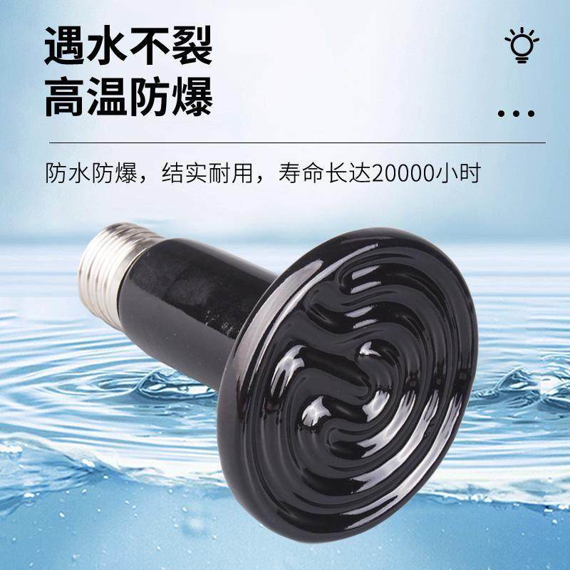 陶瓷加热灯爬宠陆龟蜥蜴爬虫箱保温灯宠物刺猬鹦鹉取暖保温灯,淘宝优惠券,粉丝福利购,淘宝优惠卷