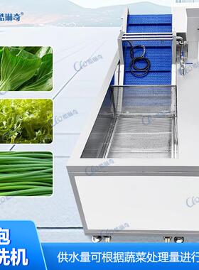 大型蔬菜加工场叶菜类蔬菜的清洗，除杂，输送果蔬气泡清洗机