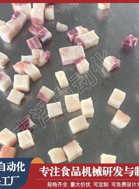 五花肉切丁机中泽全自动红烧肉切块机连续式羊肉切丁切粒机器