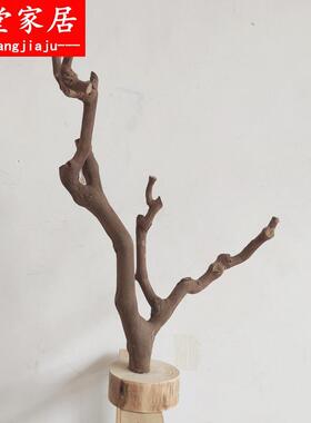 鸟站杆站架树枝训鸟架子站棍单杆落地式鹦鹉玄风鸟笼用品配件玩具