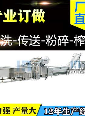 刺梨打浆榨汁加工设备生姜液压压榨机果蔬苹果榨汁生产线设备
