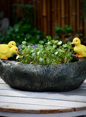 铜钱草水培花盆大口径清仓绿萝植物吊兰碗莲水养花园庭院阳台养鱼