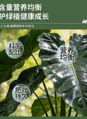 高品质天南星科专用土龟背竹专用土透气疏松种植土天南星科专用土