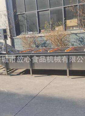 全自动山楂清洗机圣女果清洗机厂家不锈钢果蔬清洗机
