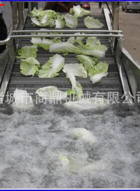 鼎杂供应商牌  水果蔬菜 气泡清洗机红参丹参压去质清商鼎洗设备