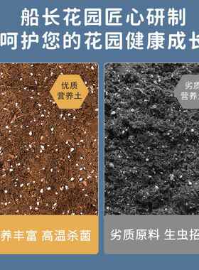 营养土养花专用通用型家用种菜种花多肉植物有机泥炭土种植花土壤