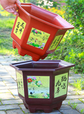 六角形盆景花盆花盆花盆花盆花瓶