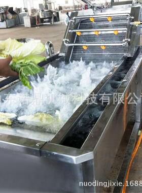 番茄清洗机 多洗功能诺鼎气泡设清机多少钱果 全自动水清洗加工备