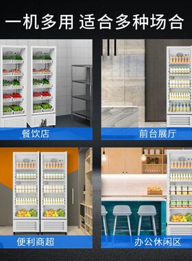 dapan奥达信冷藏展示柜酒水饮料柜牛奶冰箱立式冰柜110V220V跨境