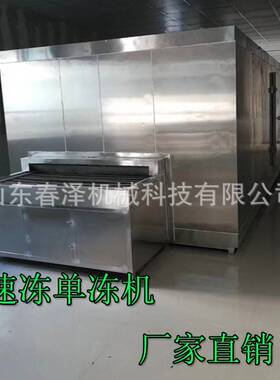 大型商用食品速冻龙生产线小虾扇贝预菜连续输送隧16道制速式冻机